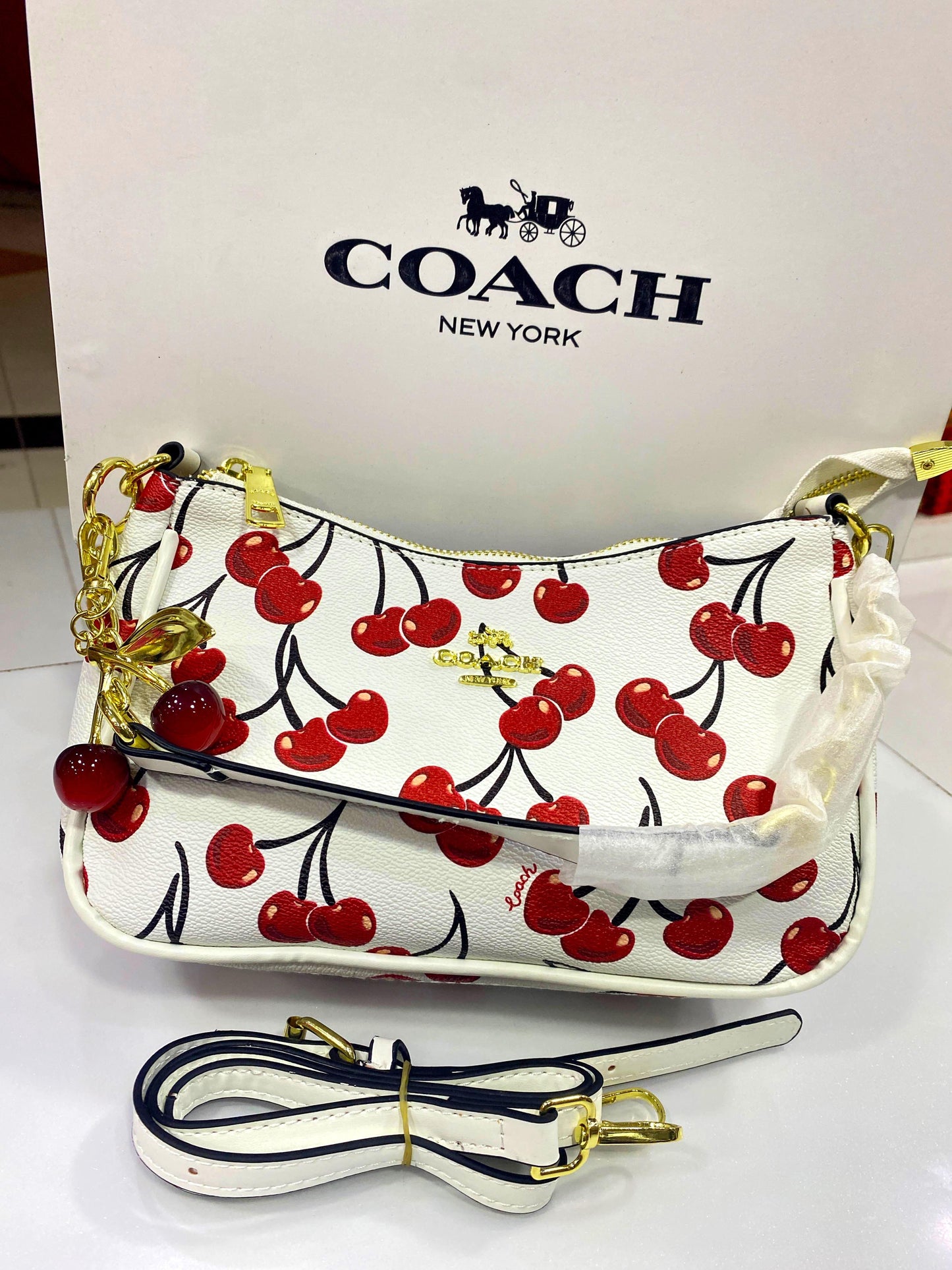 COACH Shoulder Bag